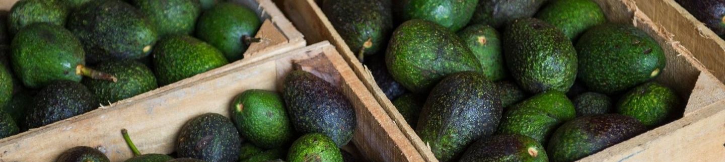 Banner image for Friendly Bodega by Avocaderia