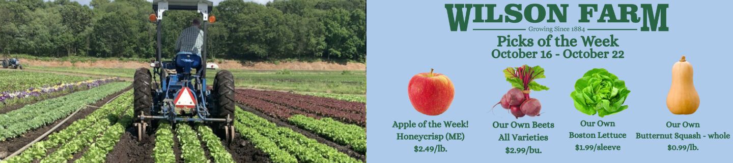 Banner image for Wilson Farm