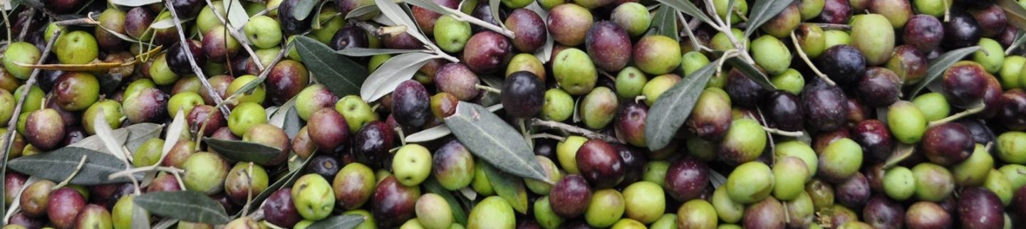 Banner image for Dean's Mediterranean Imports 