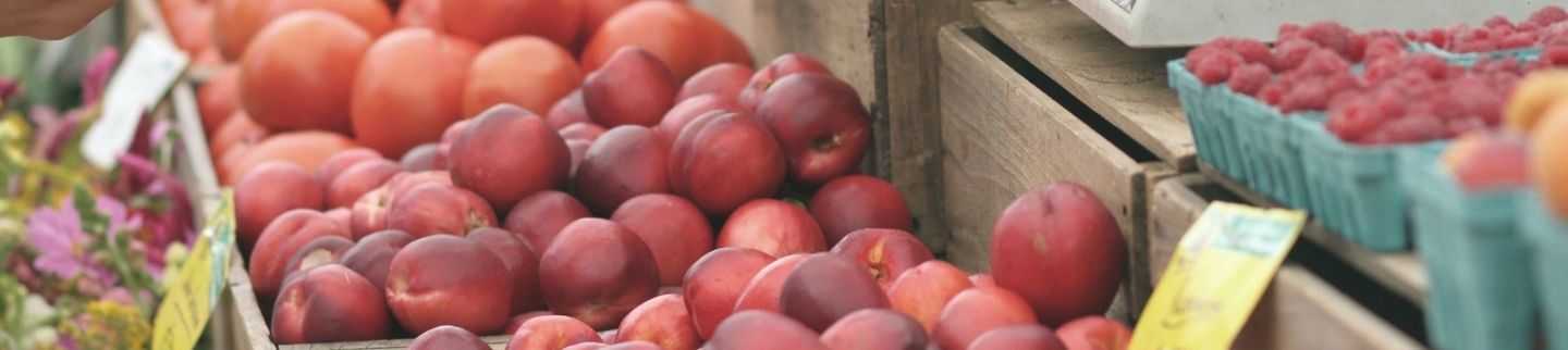 Banner image for Freddy's Food Market