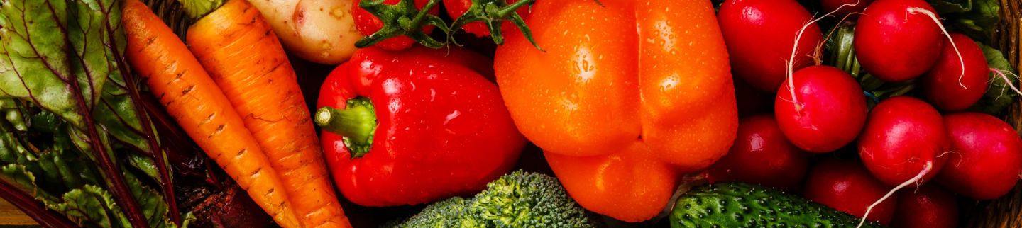 Banner image for Our Table Cooperative