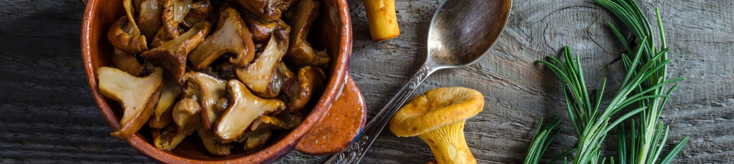 Banner image for Kennett Square Specialties