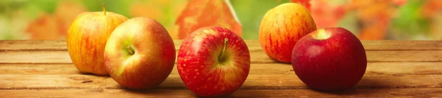 Banner image for Gala Apple International