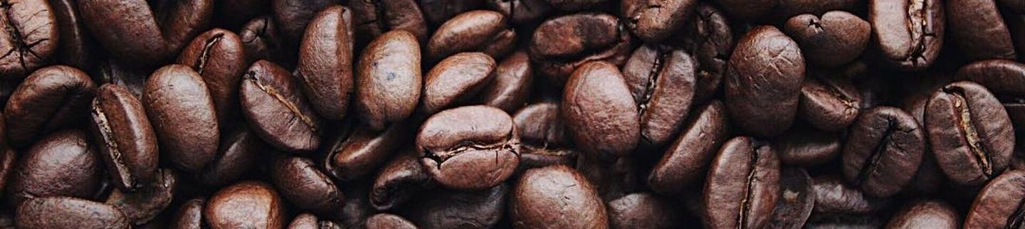 Banner image for Gumption Coffee