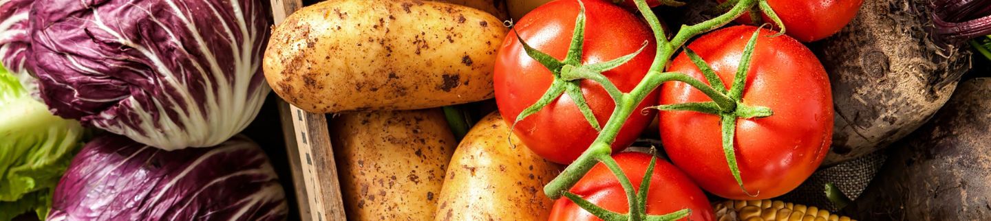 Banner image for CTown Supermarkets (Orange)