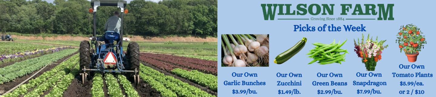 Banner image for Wilson Farm