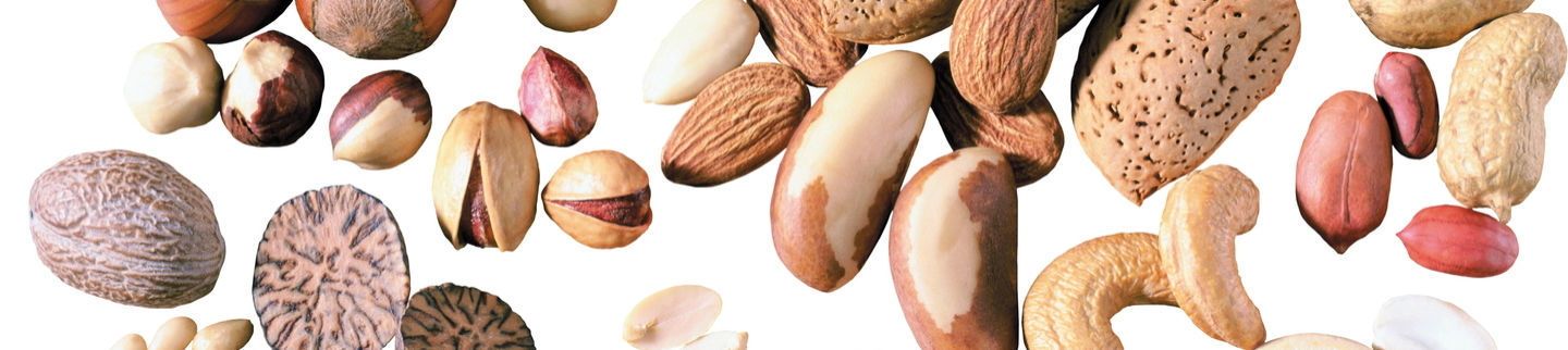 Banner image for Magee's House of Nuts