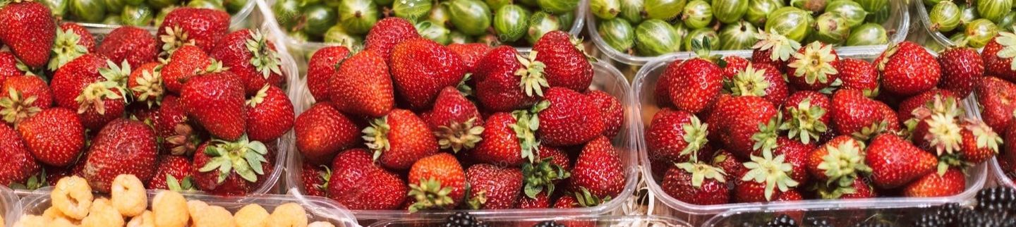 Banner image for Third Avenue Garden