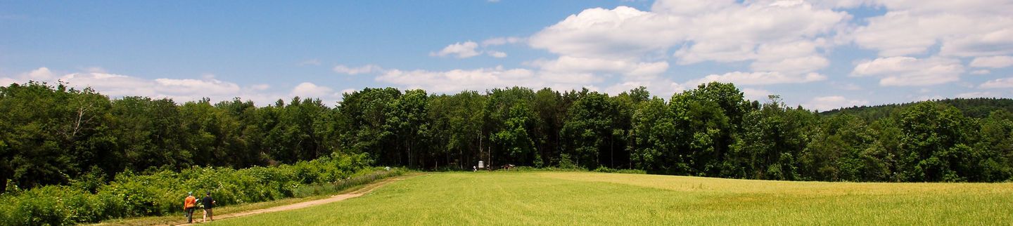 Banner image for Chestnut Farms