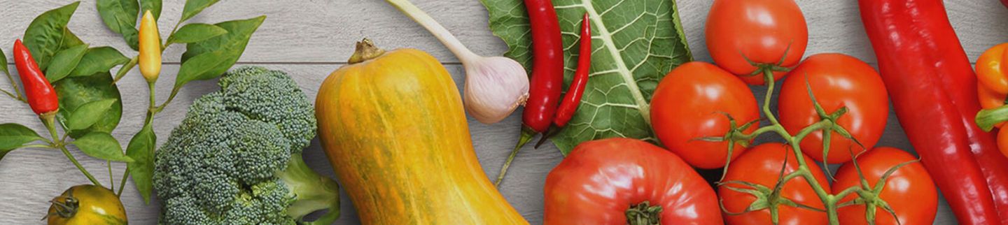 Banner image for The Market at Powell