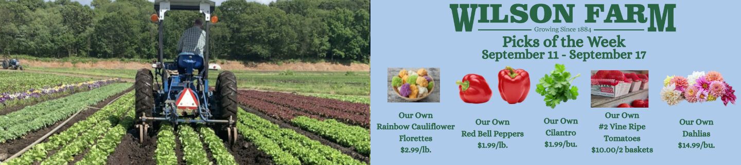 Banner image for Wilson Farm