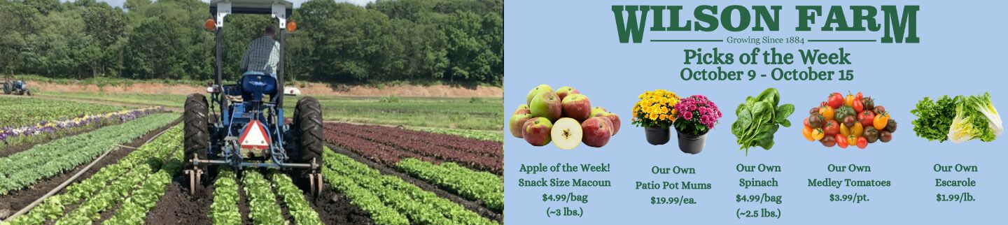 Banner image for Wilson Farm