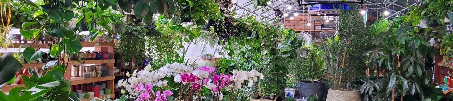 Banner image for Urban Garden Center