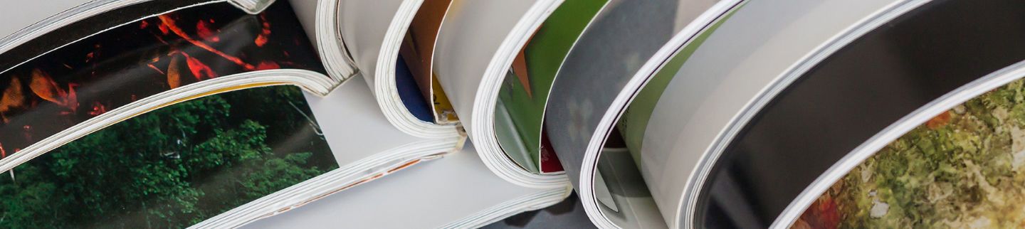 Banner image for Bay Crossings