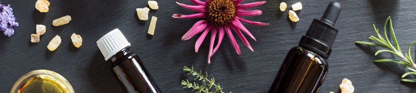 Banner image for Benedetta