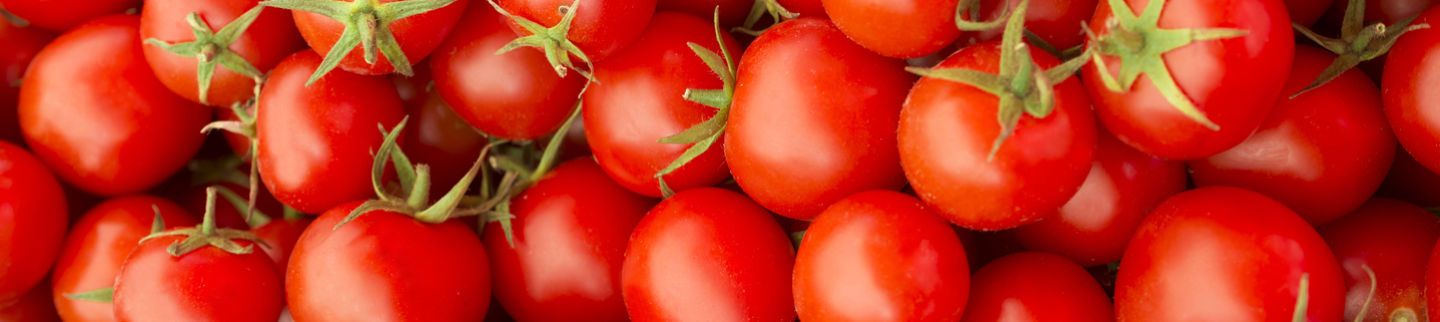 Banner image for Toscana Market/Cucina al Volo
