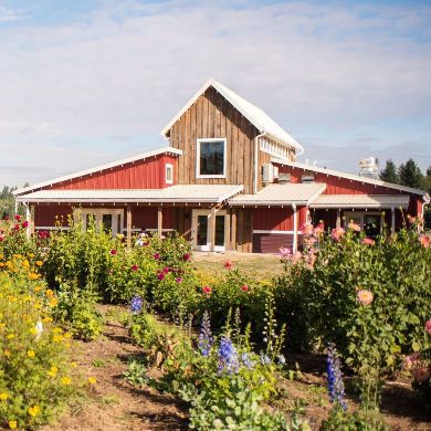 Our Table Cooperative