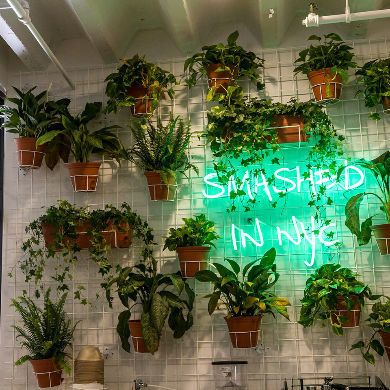 Friendly Bodega by Avocaderia