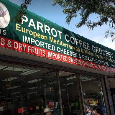 Parrot Coffee