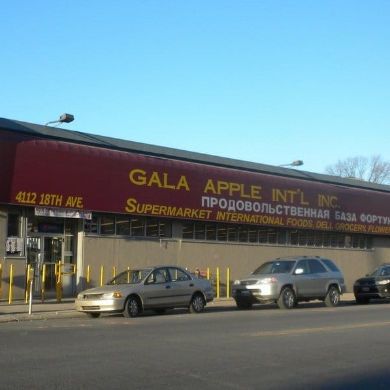 Gala Apple International