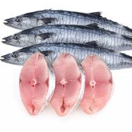 Fresh Sturgeon Fish Steaks