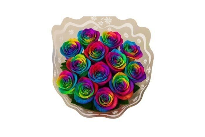 Bunch of Rainbow Roses (1 Dozen)