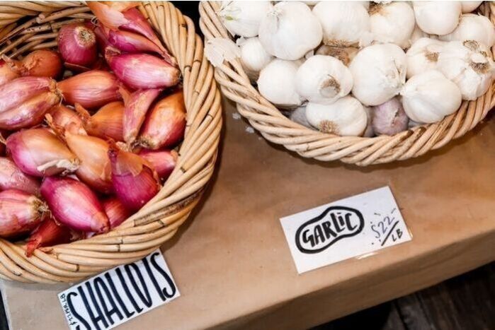 GARLIC