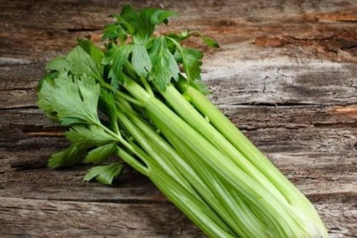 Our Best Celery Stalk