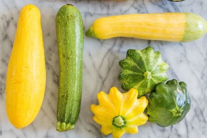 Summer Squash
