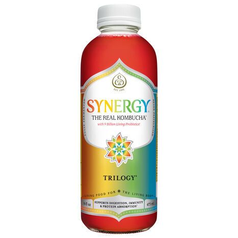 Synergy Trilogy Kombucha - 16 Fluid Ounces