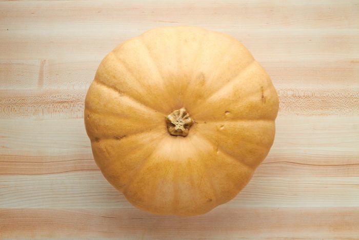 Large Pumpkin