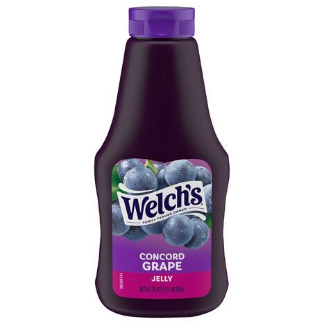 Welch's Concord Grape Jelly - 20 Ounces