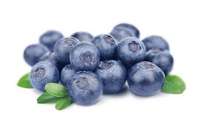 Oppy Blueberries - 16 Ounces