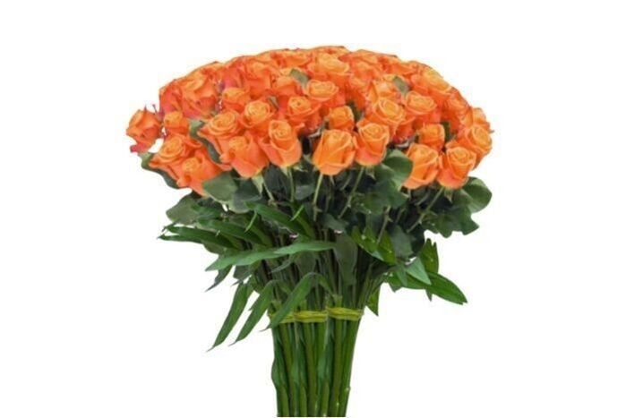 Orange Roses Long Stem (100 Stems)
