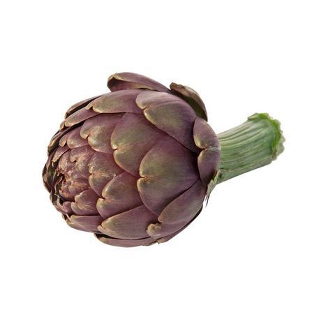 Rouge Salambo (Red) Artichokes