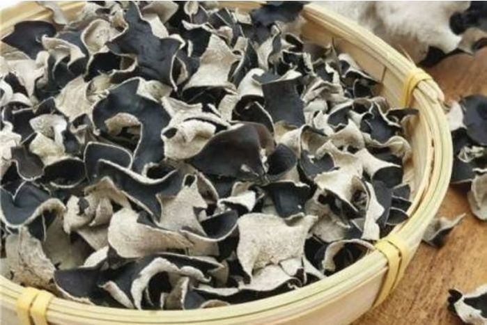 Dried White Back Wood Ear Fungus 1oz.