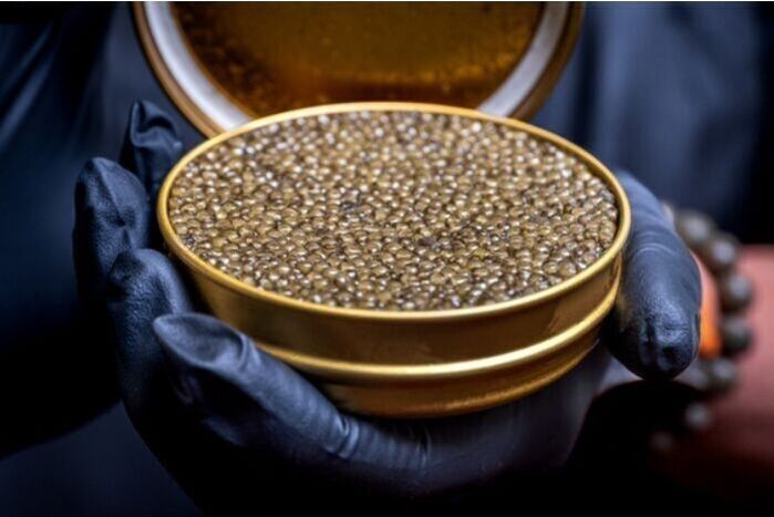 Ossetra Caviar 50g