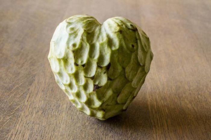 Cherimoya
