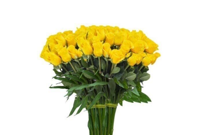 Yellow Roses Long Stem (100 Stems)