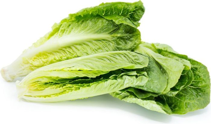 Romaine Hearts