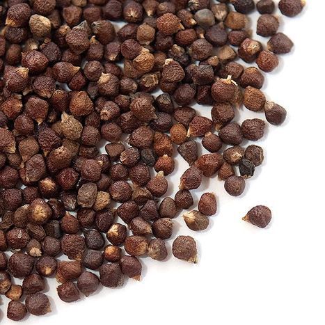 Grains of Paradise Spices