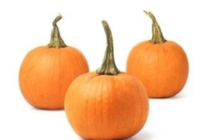 Sugar Pumpkin