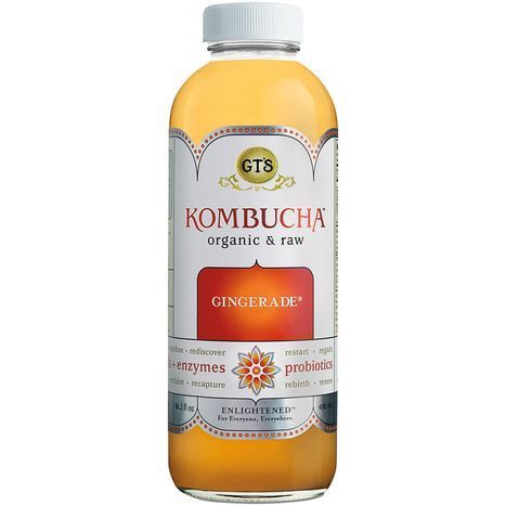 Gt's Enlightened Organic Raw Kombucha - 16 Ounces