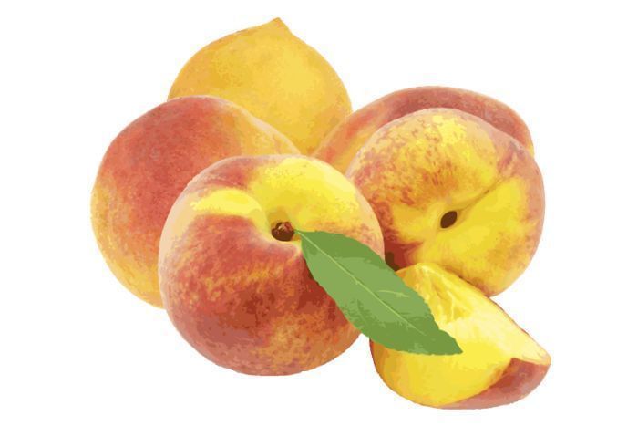 Southern Peaches - 1 Pound