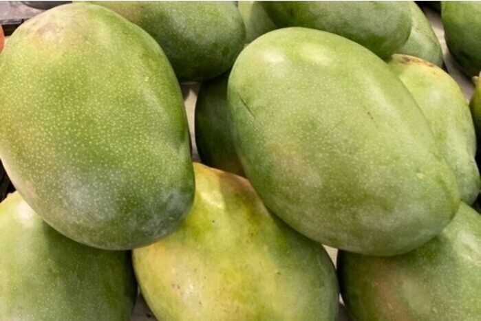 Jumbo Malgova Mango