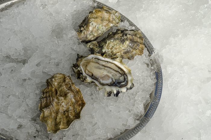 Fresh (Live) Mirada Oysters