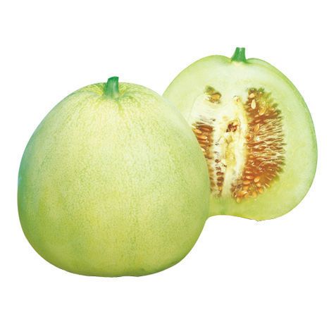 Organic Spanish Melon