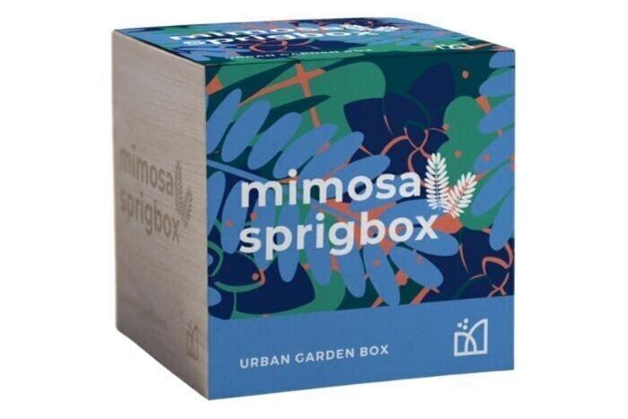 Sprigbox - Mimosa Grow Kit (1 Ea)