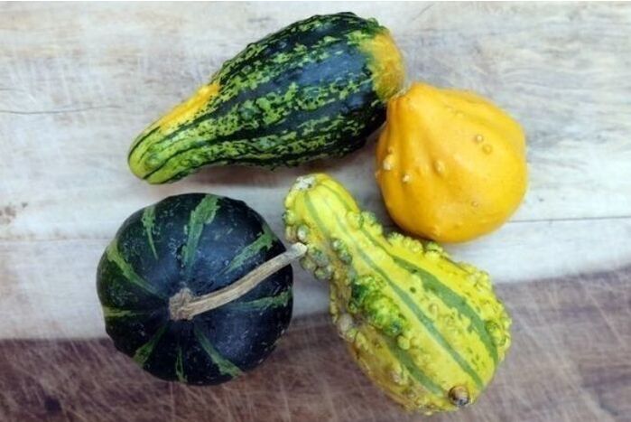 Gourds