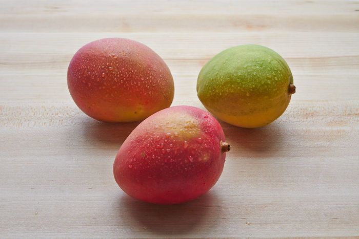 Mango Tommy Atkins